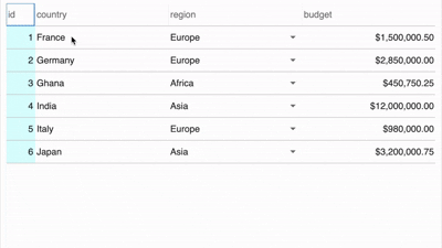 A cheetahR grid where typing in a country cell filters a dropdown of suggestions that narrows as more characters are entered.